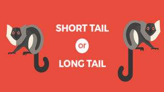 Short Tail VS Long Tail